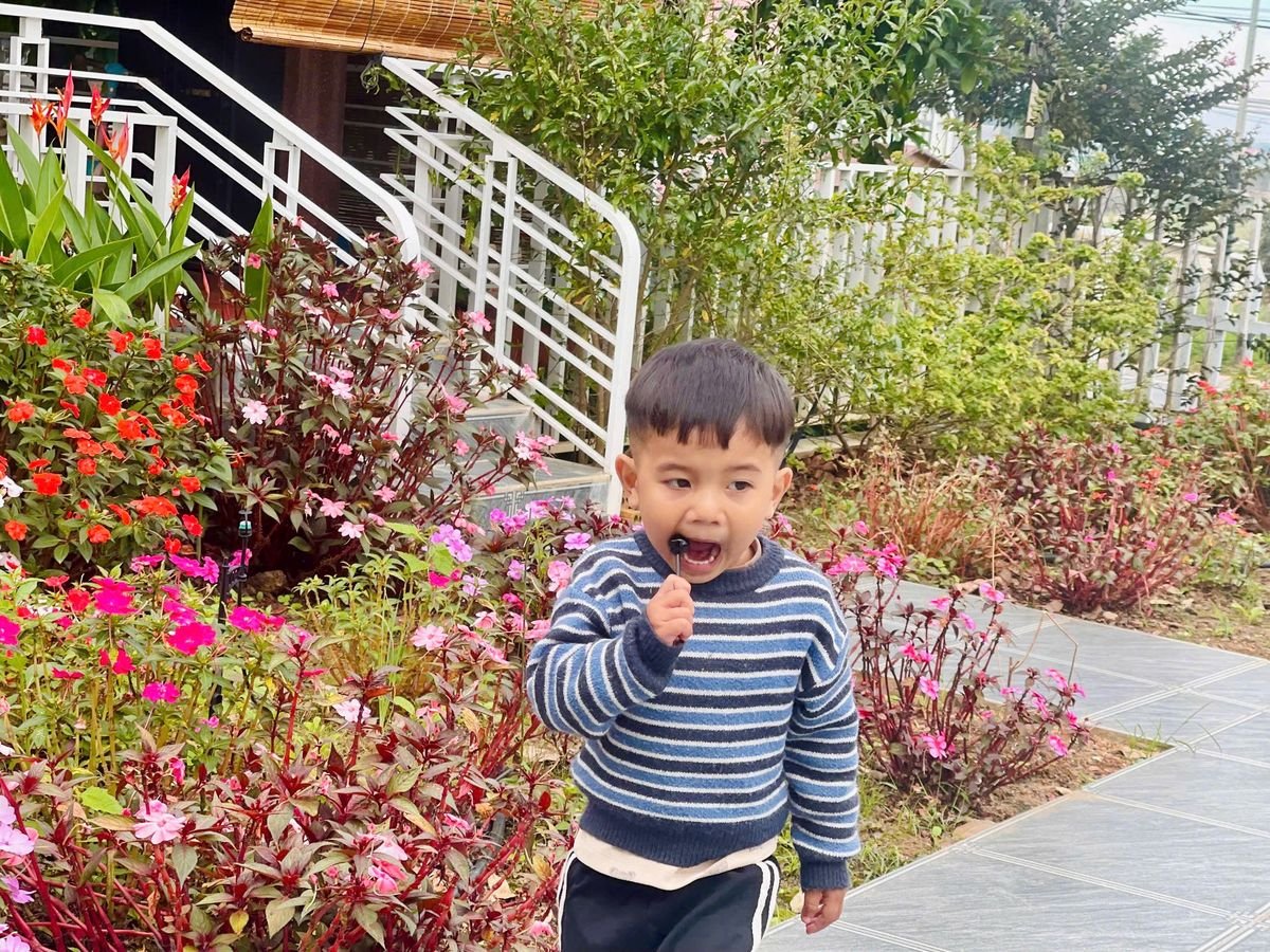 Ảnh hoạt động