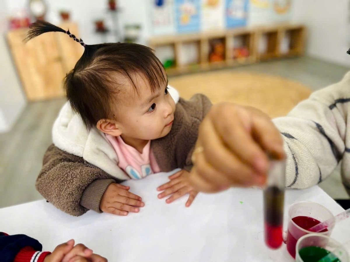 Ảnh hoạt động