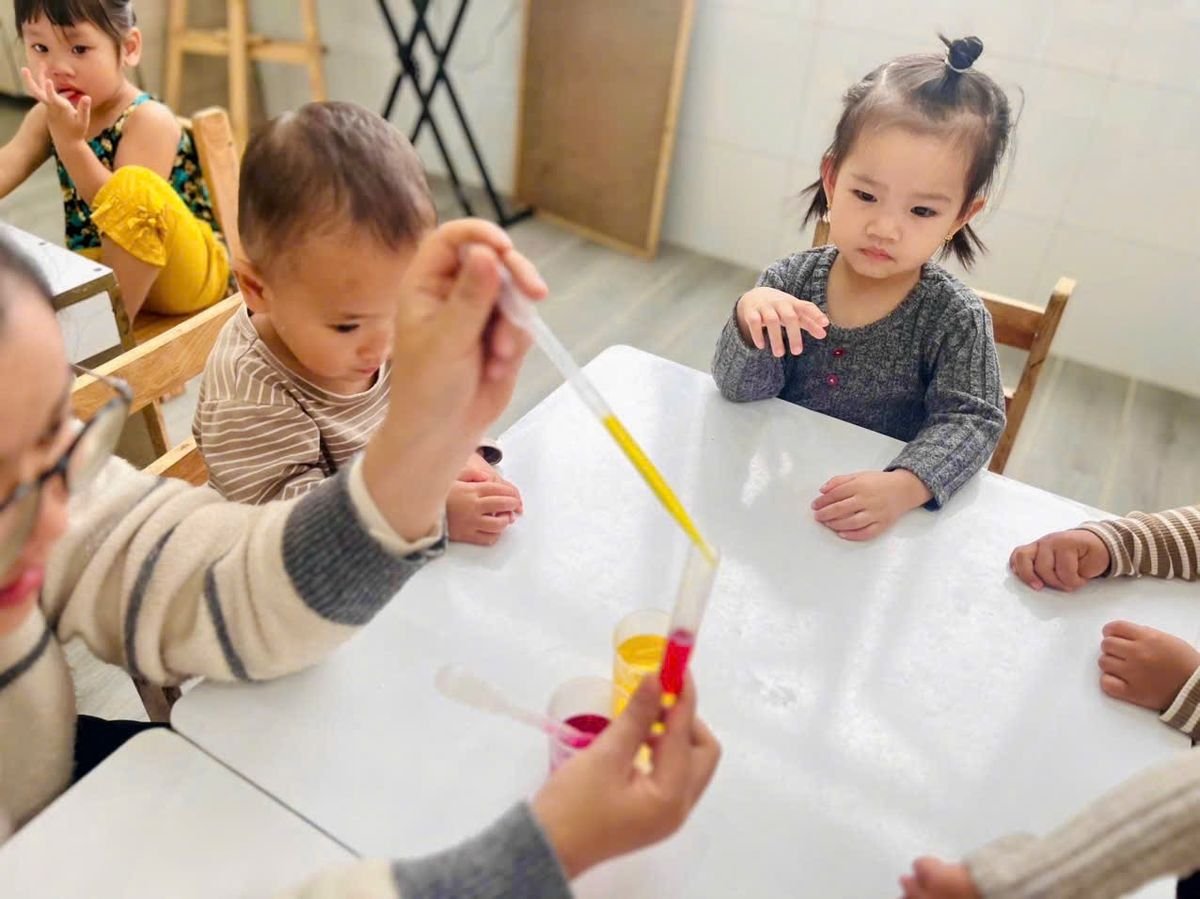 Ảnh hoạt động