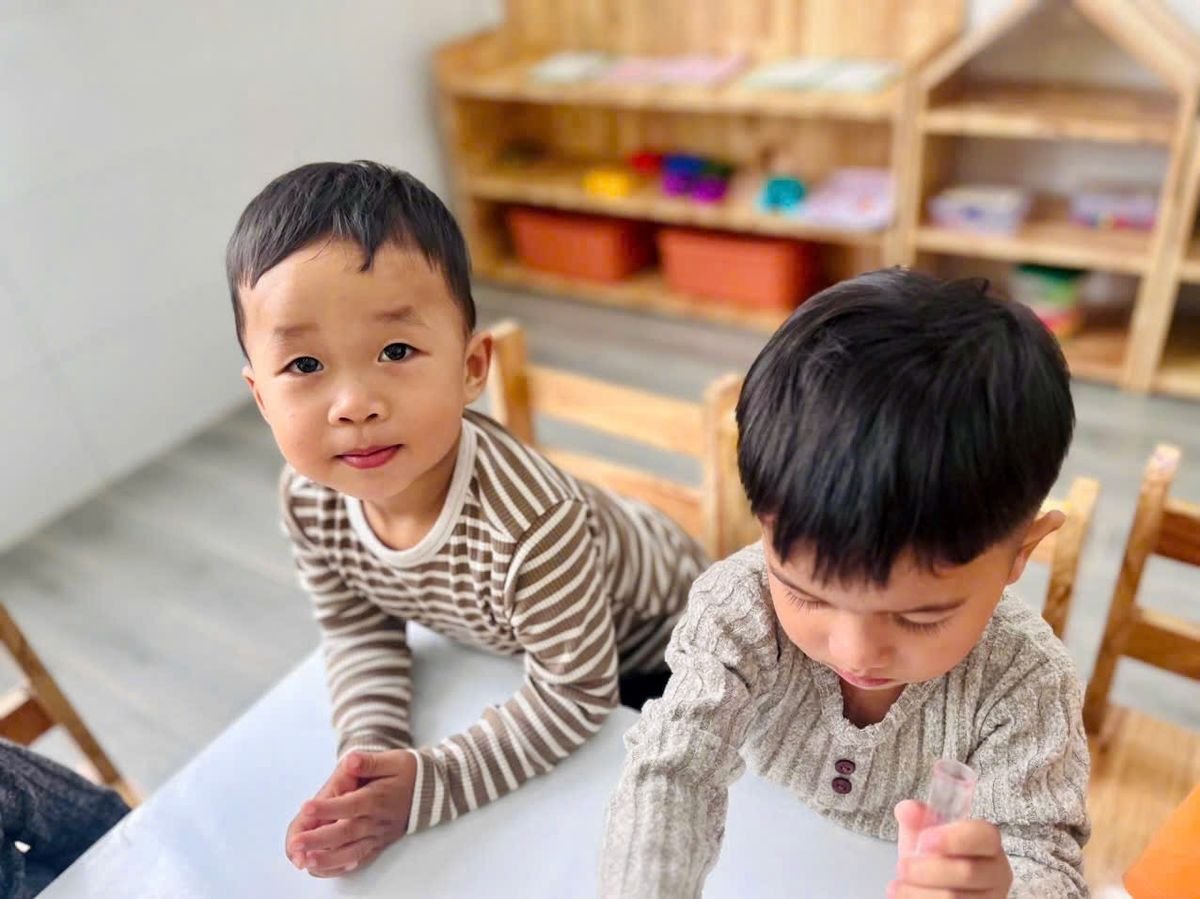 Ảnh hoạt động