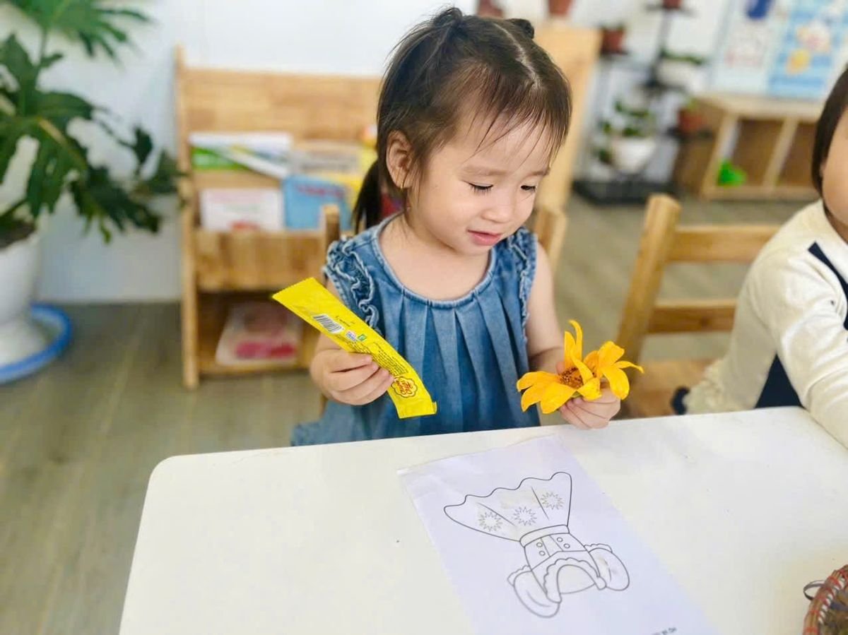 Ảnh hoạt động