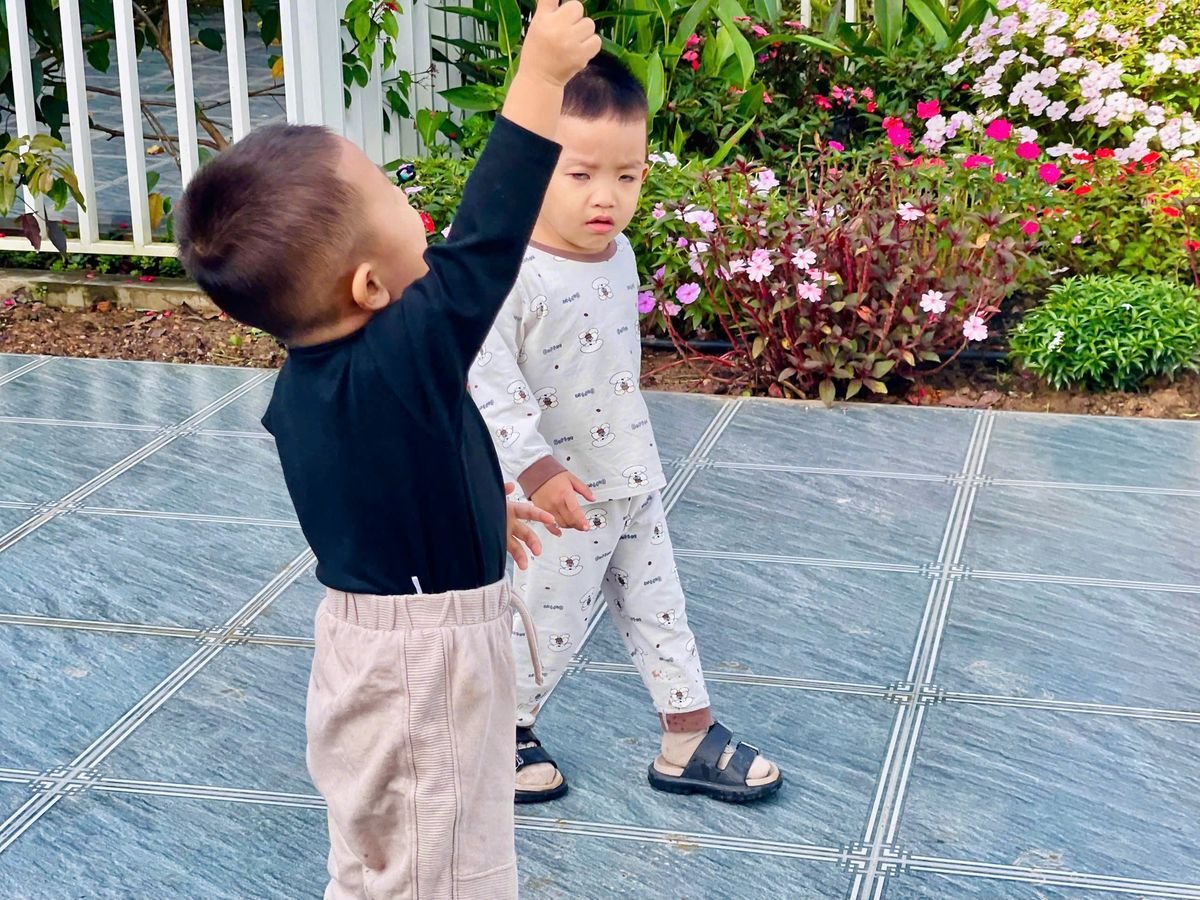 Ảnh hoạt động