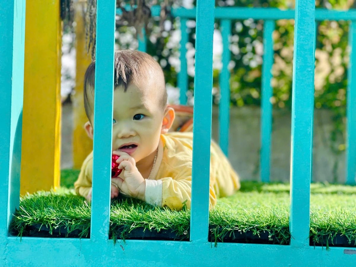 Ảnh hoạt động