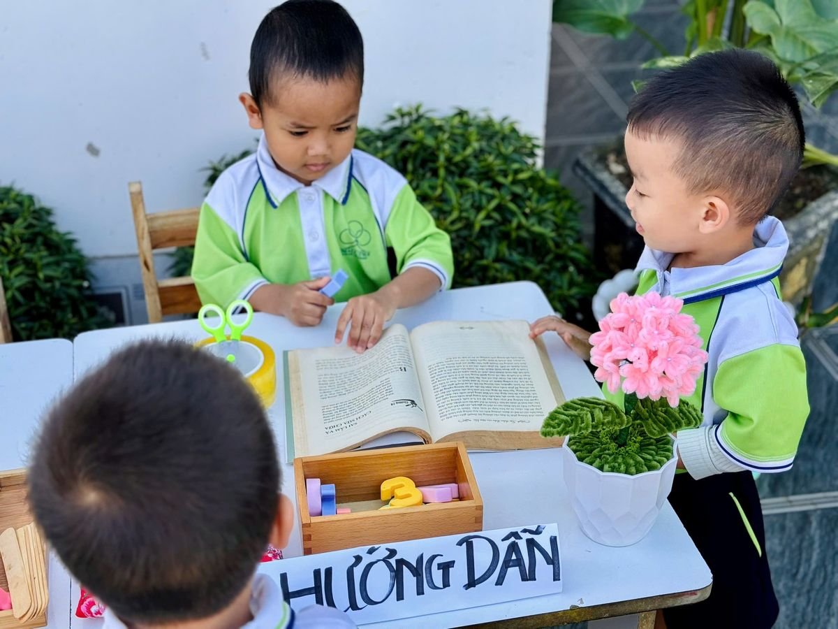 Ảnh hoạt động