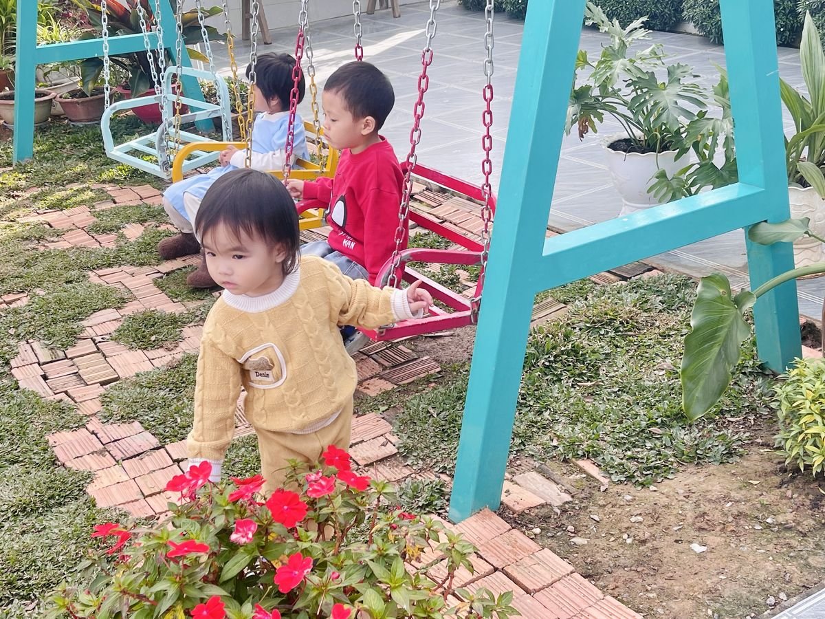 Ảnh hoạt động