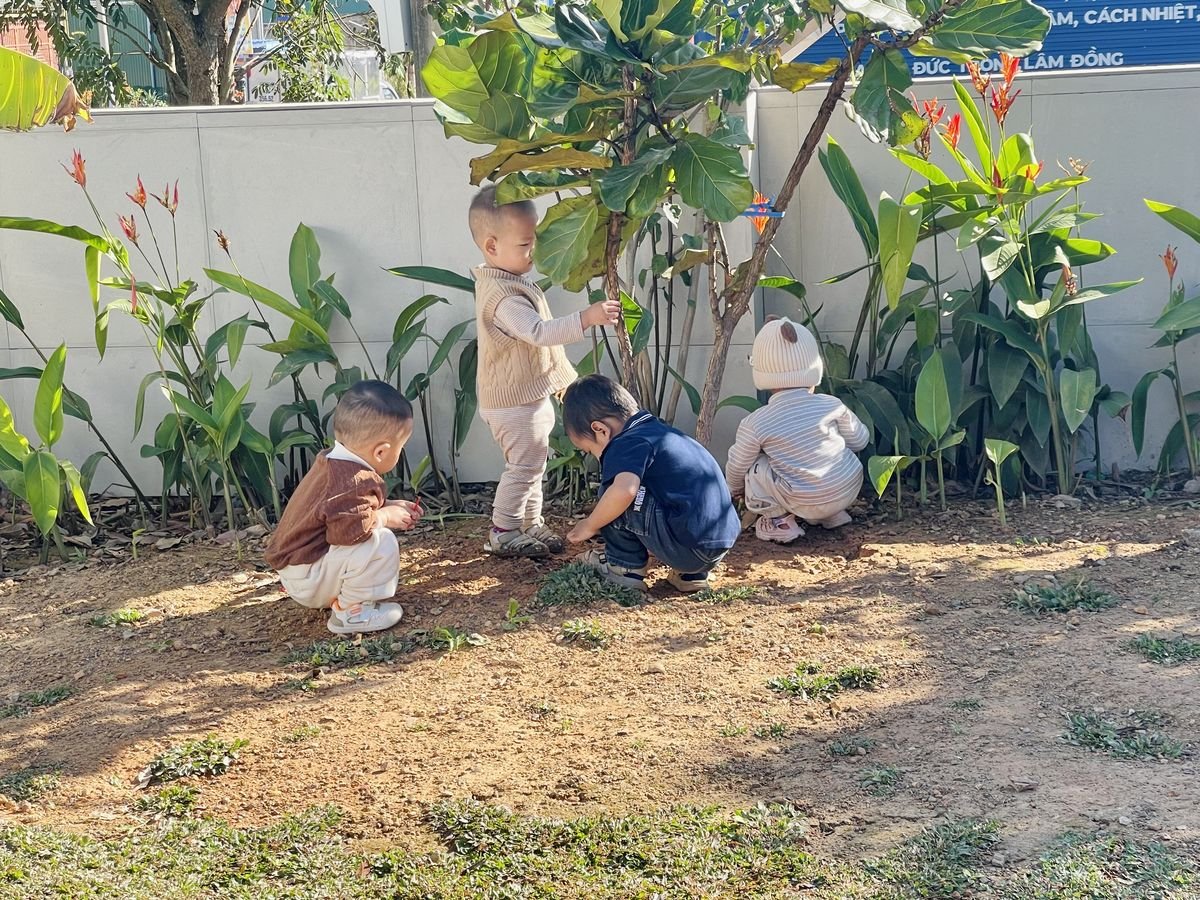 Ảnh hoạt động