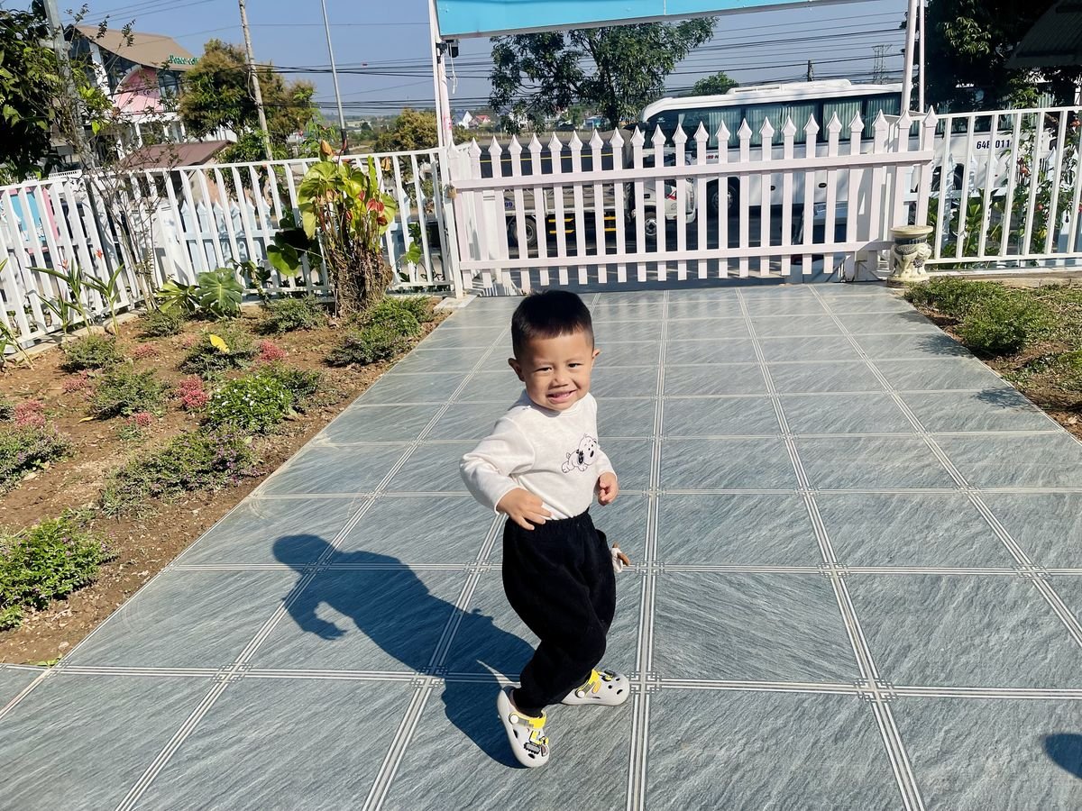 Ảnh hoạt động