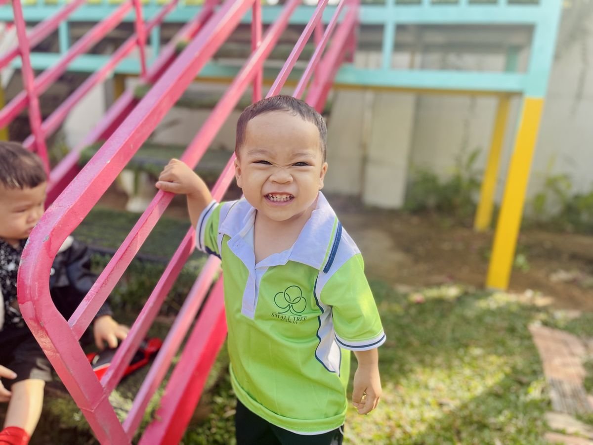 Ảnh hoạt động