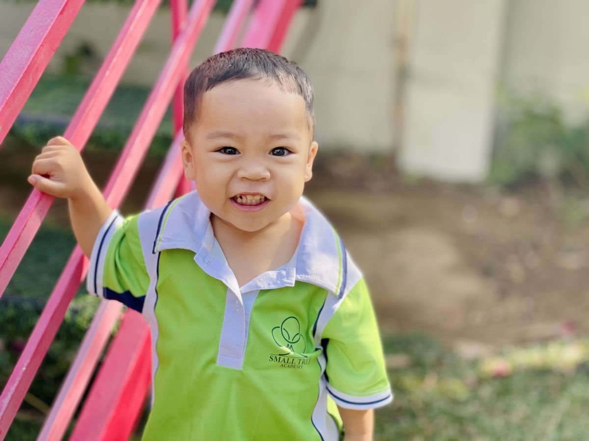 Ảnh hoạt động