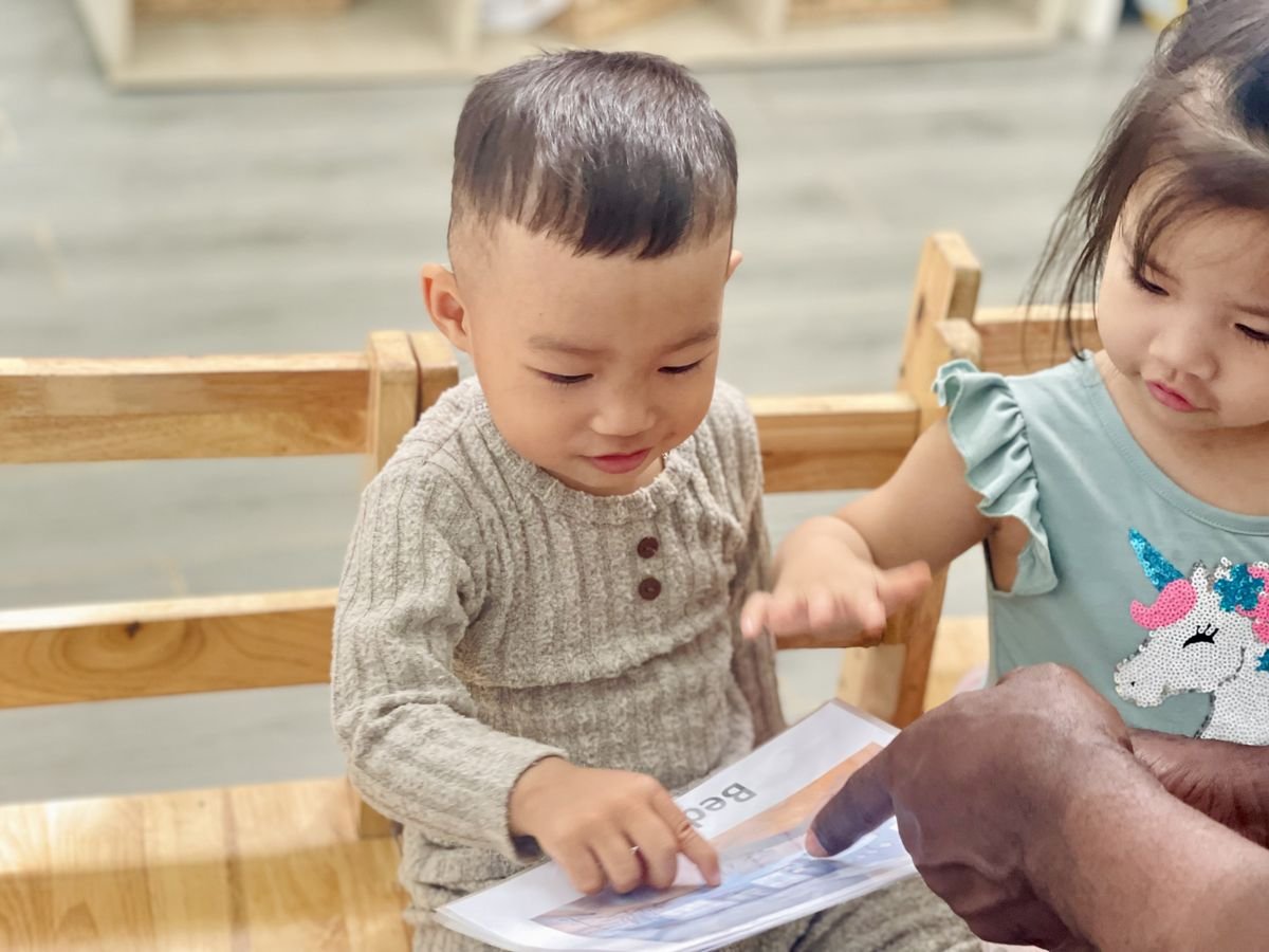 Ảnh hoạt động