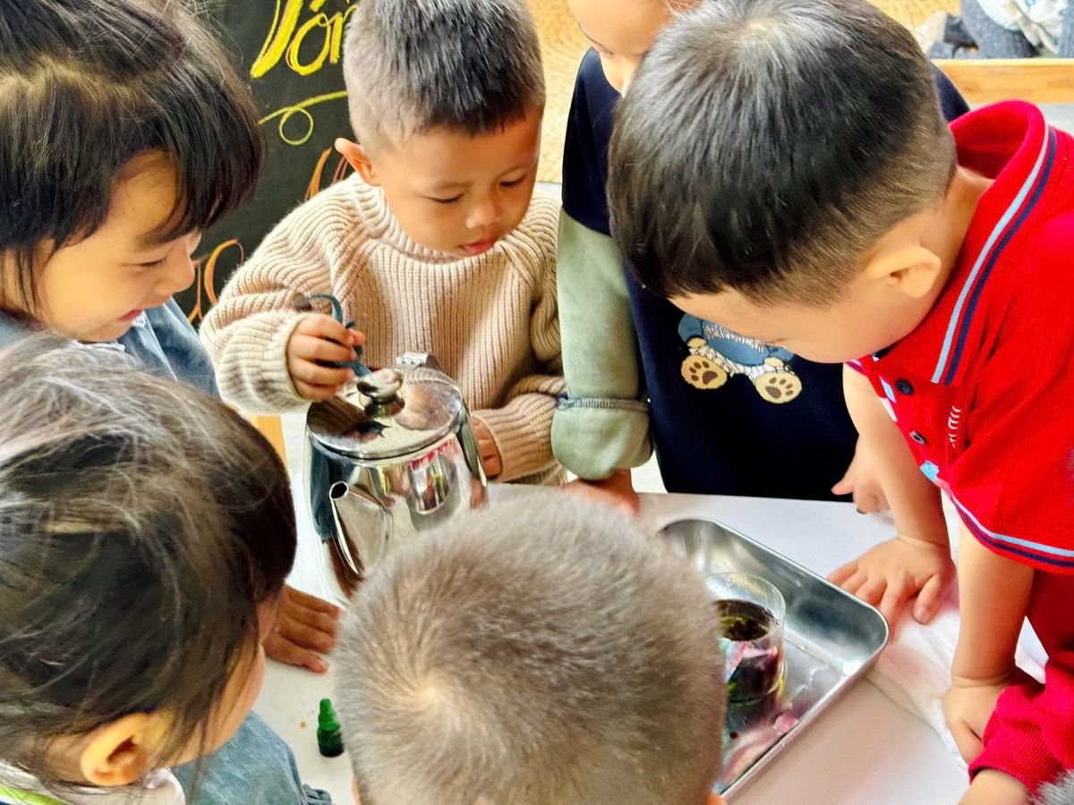 Ảnh hoạt động