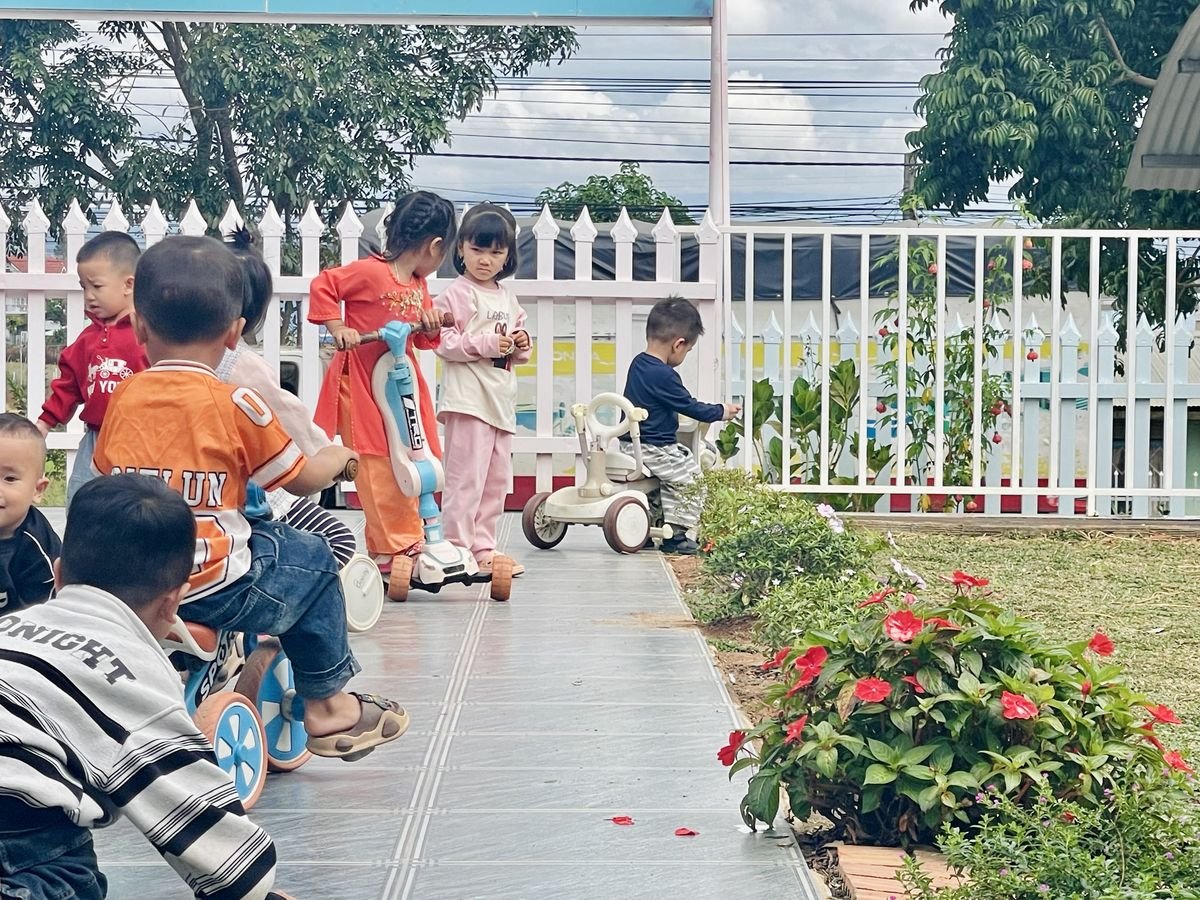 Ảnh hoạt động