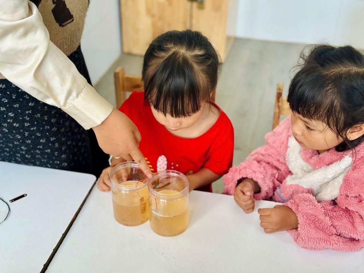 Ảnh hoạt động