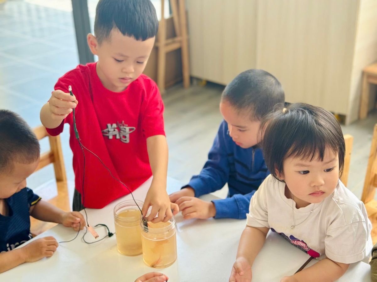 Ảnh hoạt động