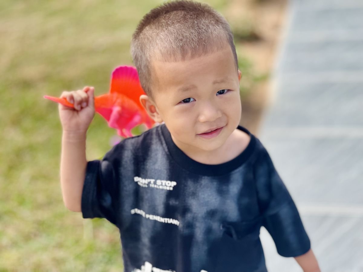 Ảnh hoạt động