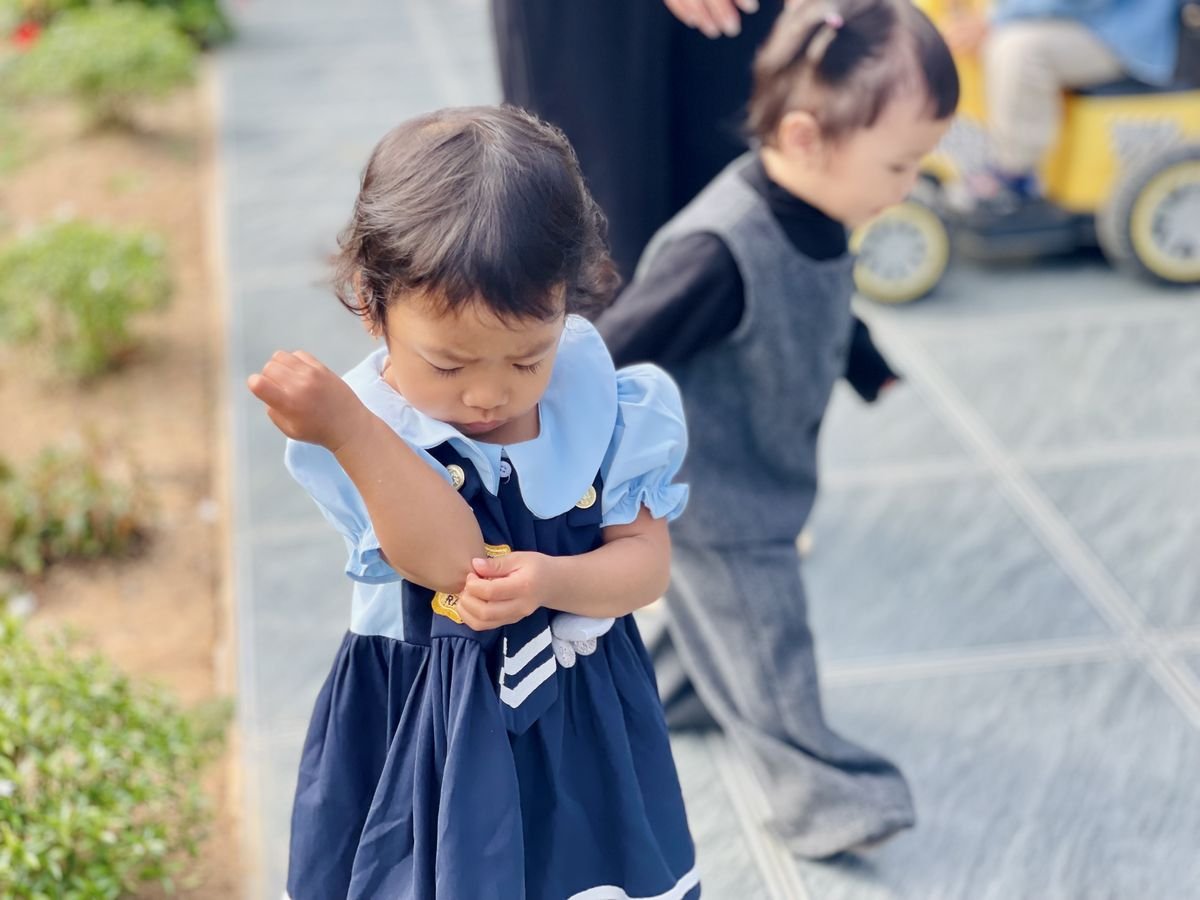 Ảnh hoạt động