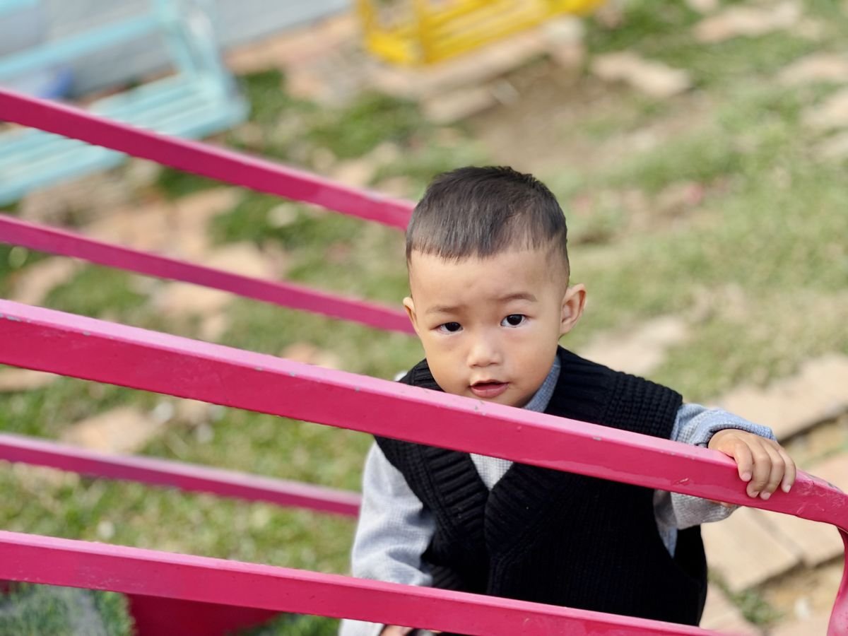 Ảnh hoạt động