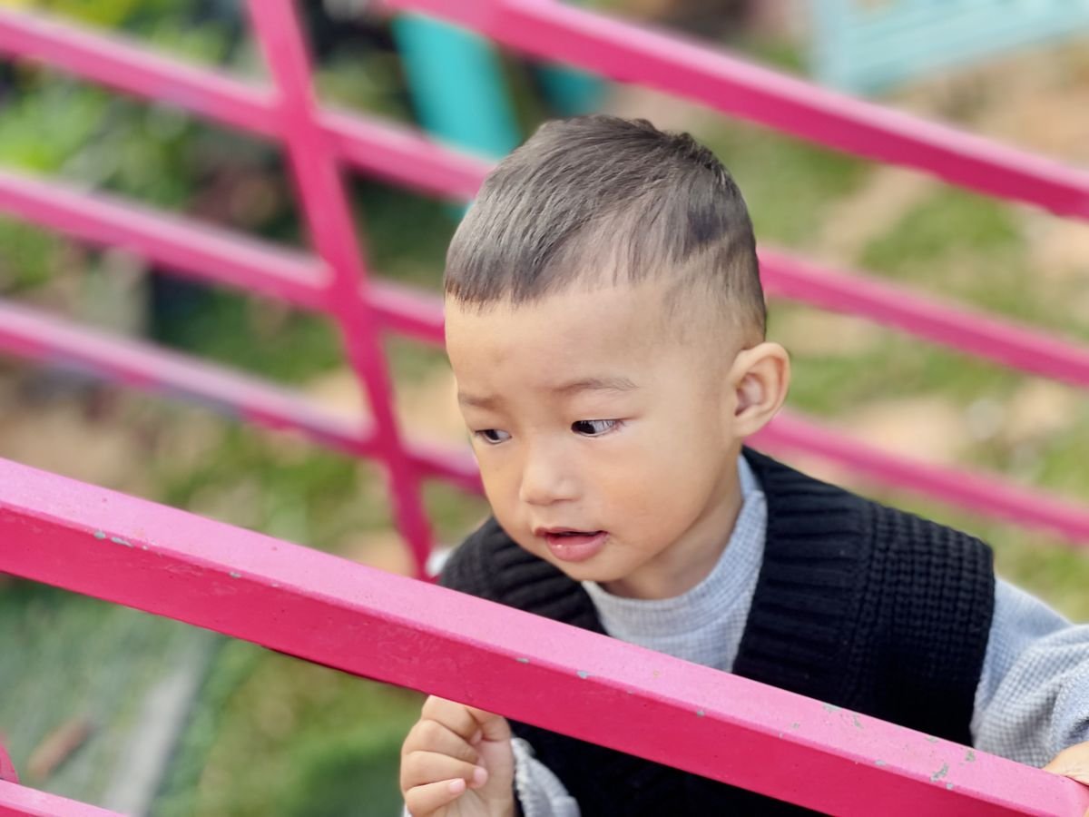 Ảnh hoạt động