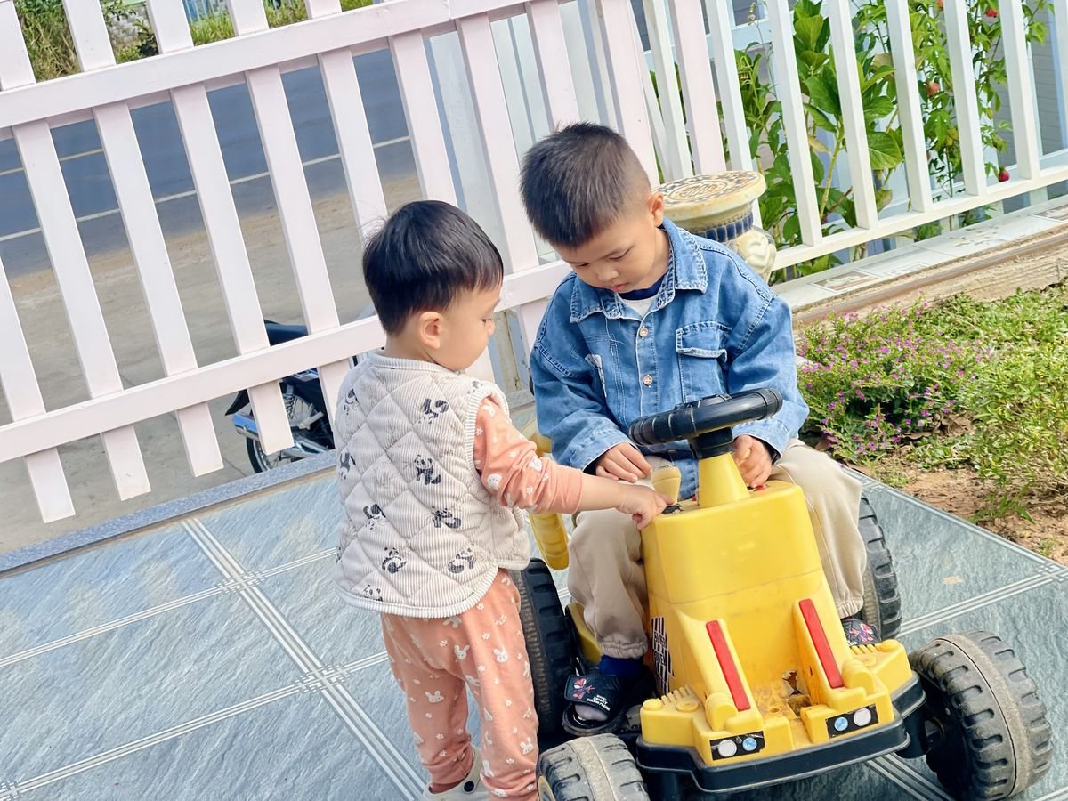 Ảnh hoạt động