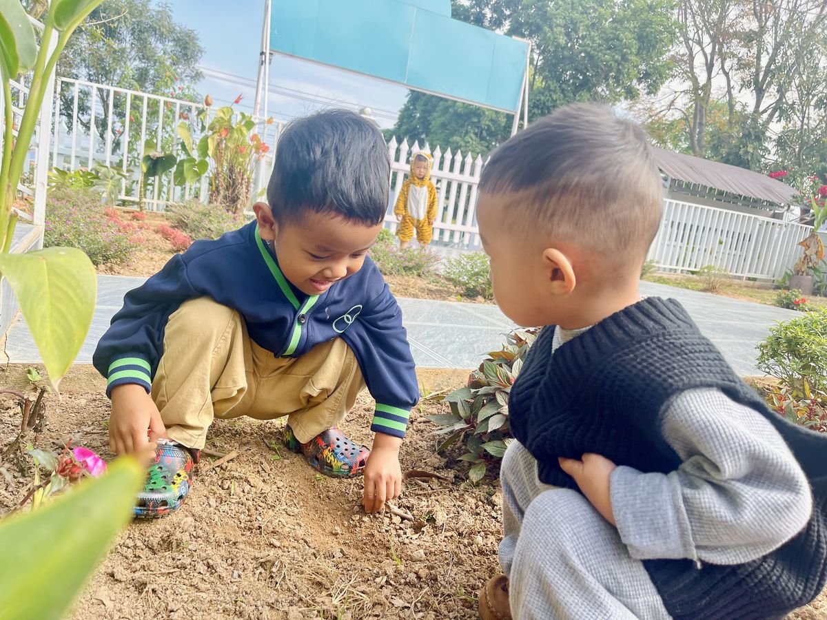 Ảnh hoạt động