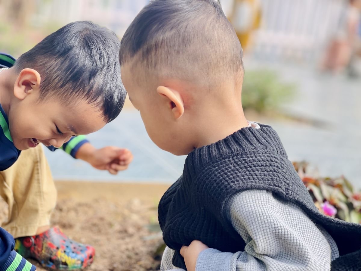 Ảnh hoạt động