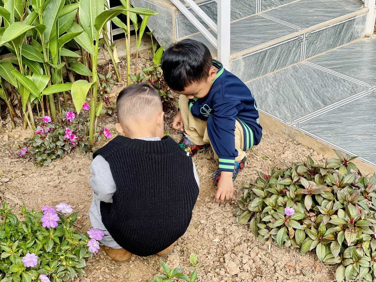 Ảnh hoạt động