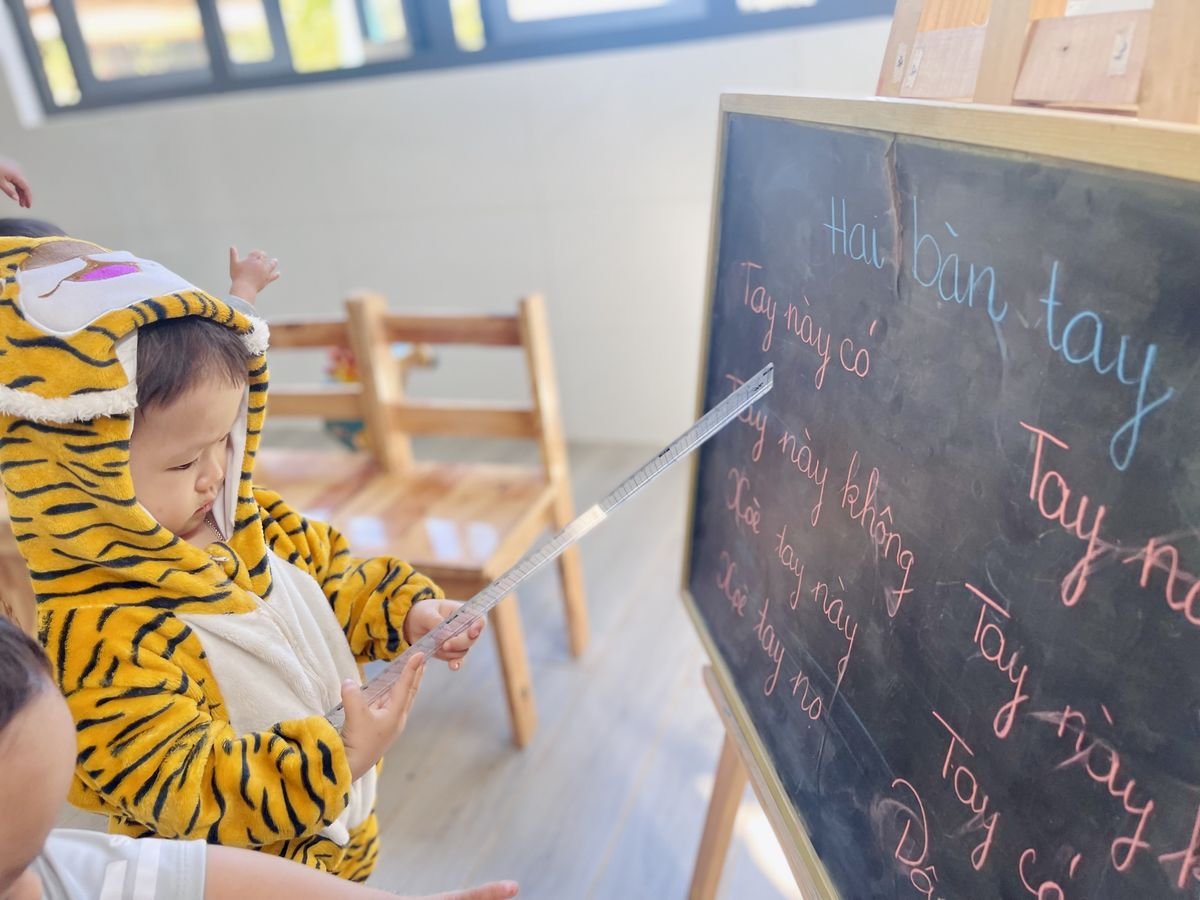 Ảnh hoạt động