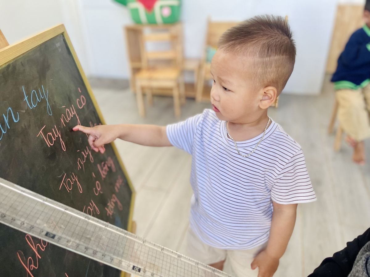 Ảnh hoạt động