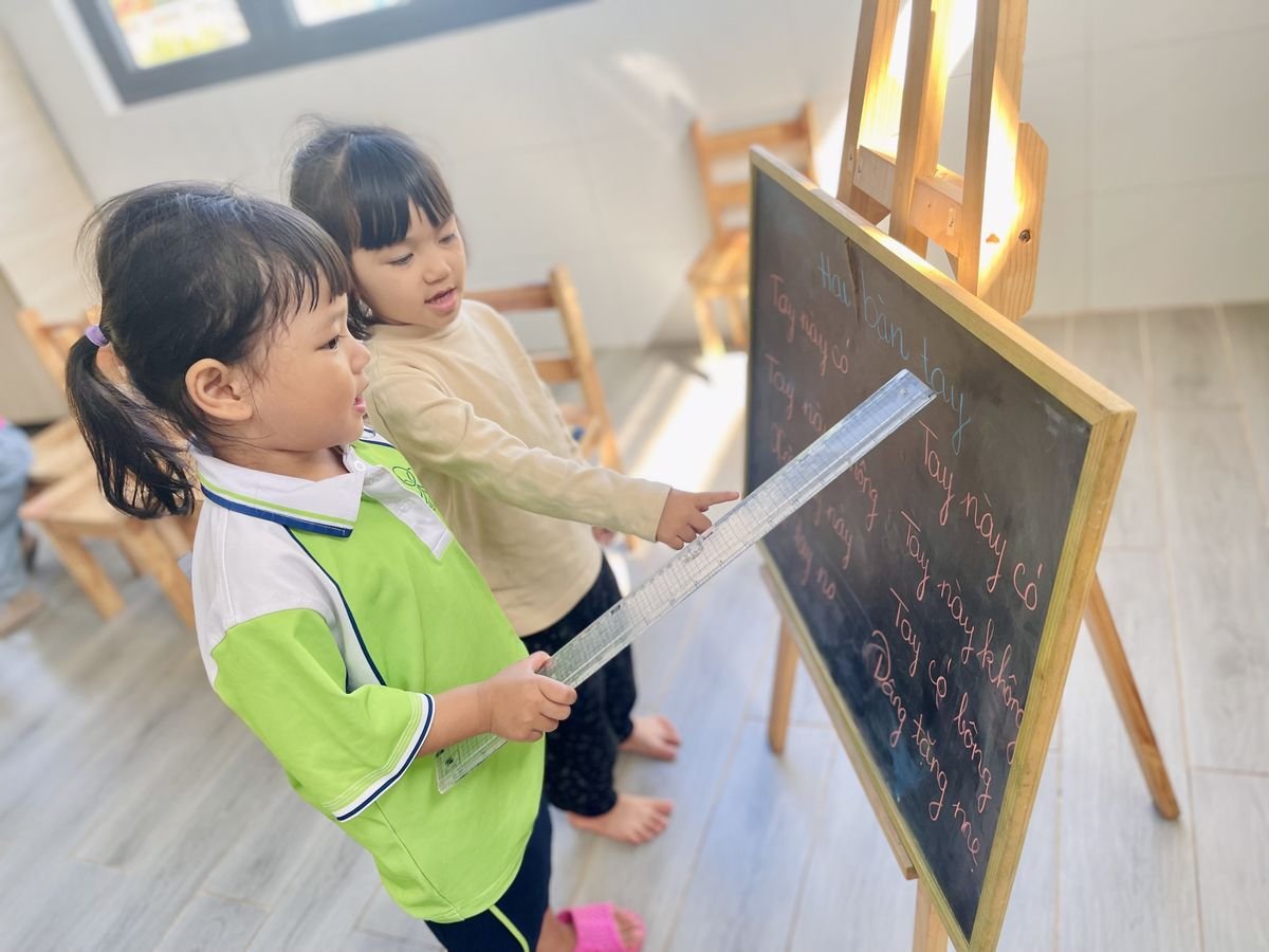 Ảnh hoạt động