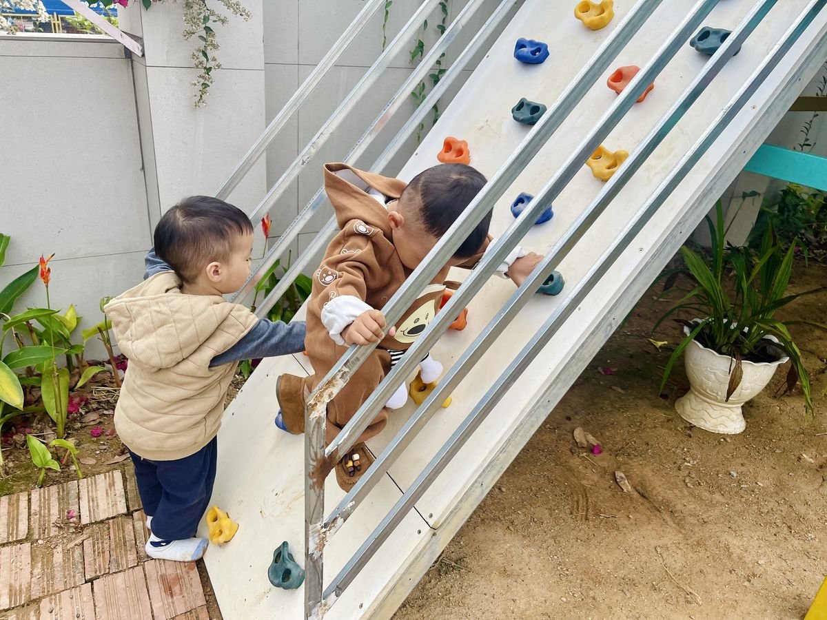 Ảnh hoạt động