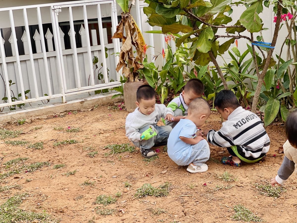 Ảnh hoạt động