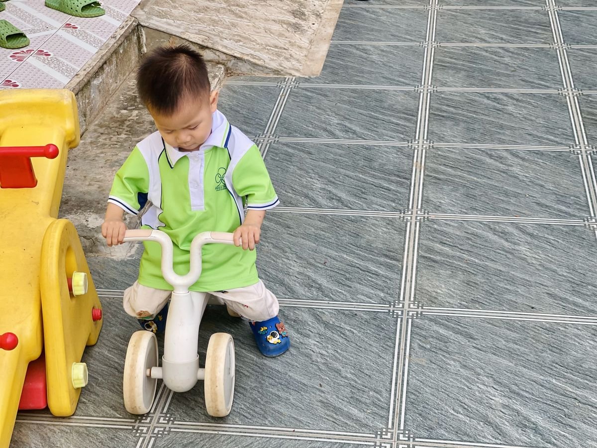 Ảnh hoạt động