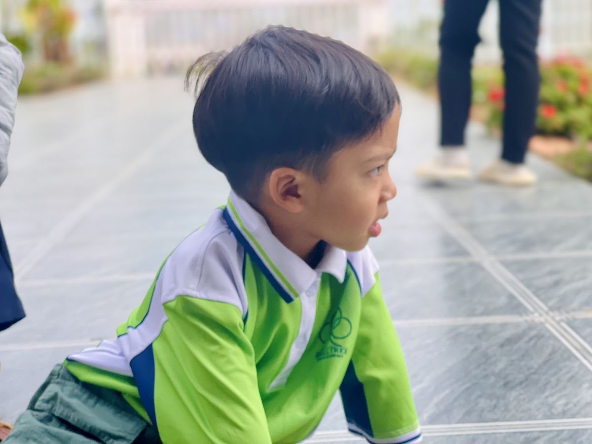 Ảnh hoạt động