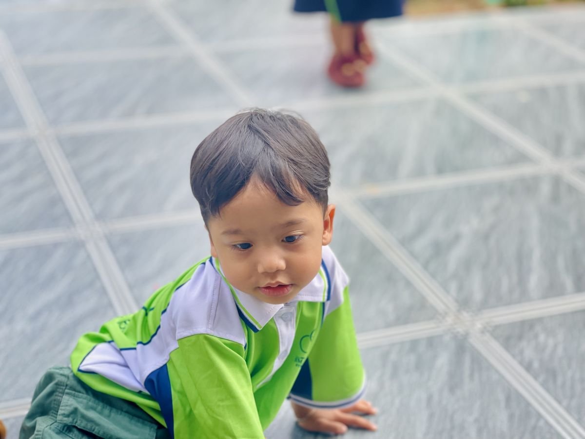 Ảnh hoạt động