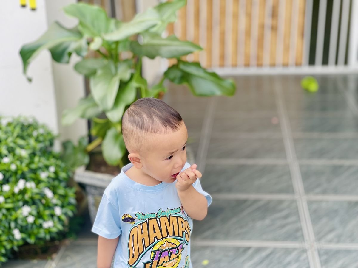 Ảnh hoạt động