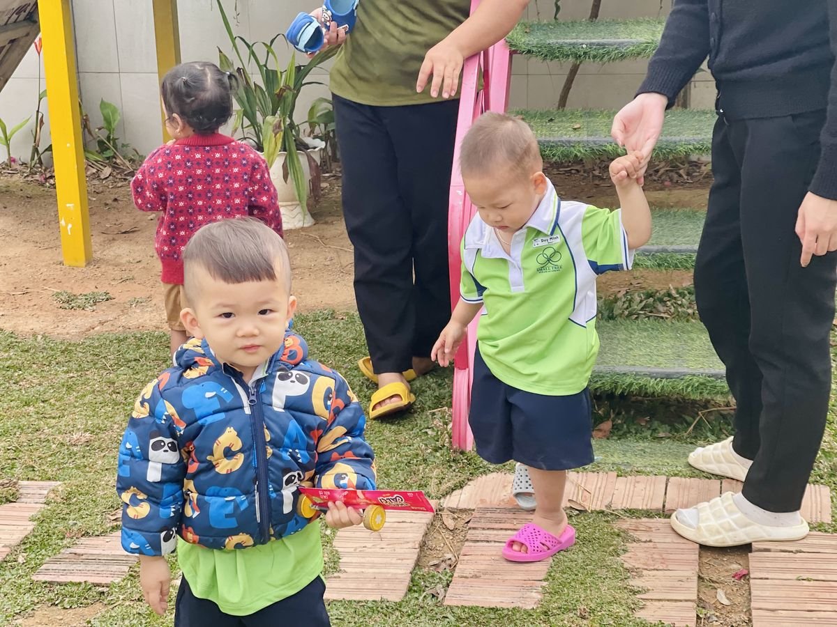 Ảnh hoạt động