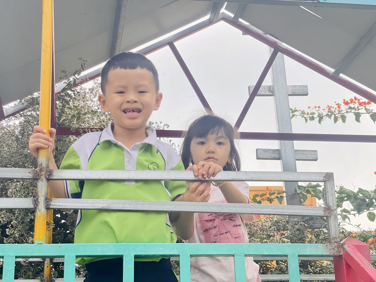 Ảnh hoạt động