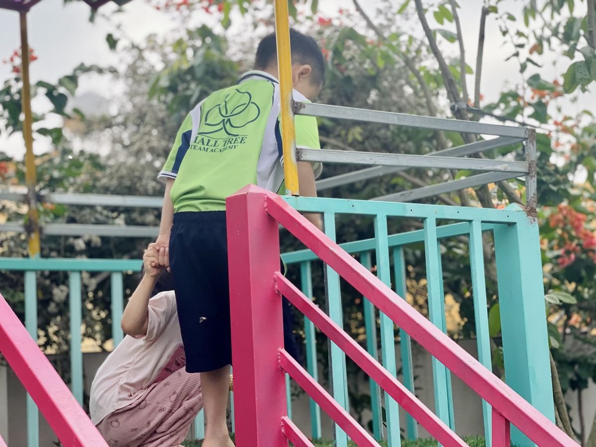 Ảnh hoạt động