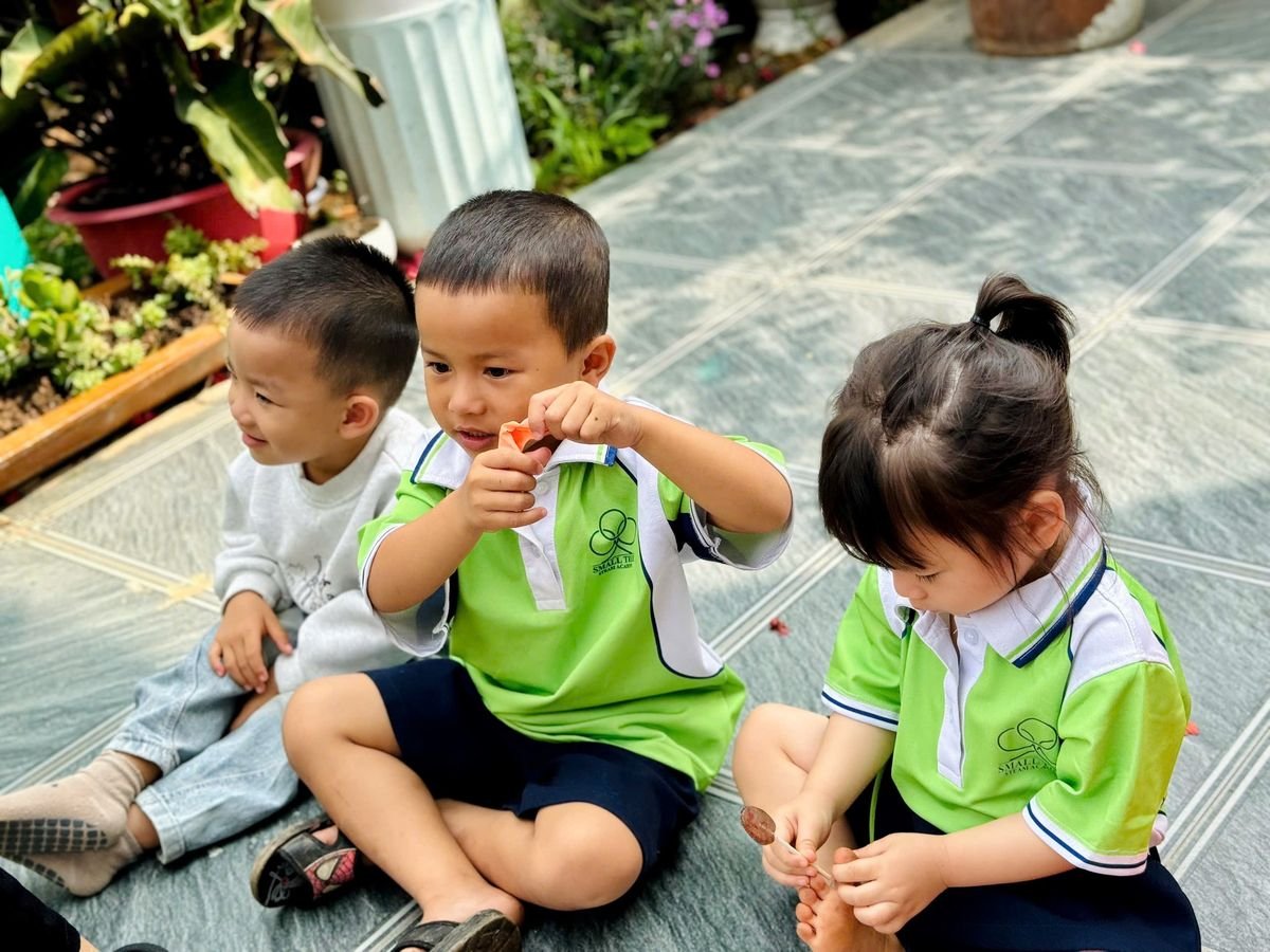 Ảnh hoạt động