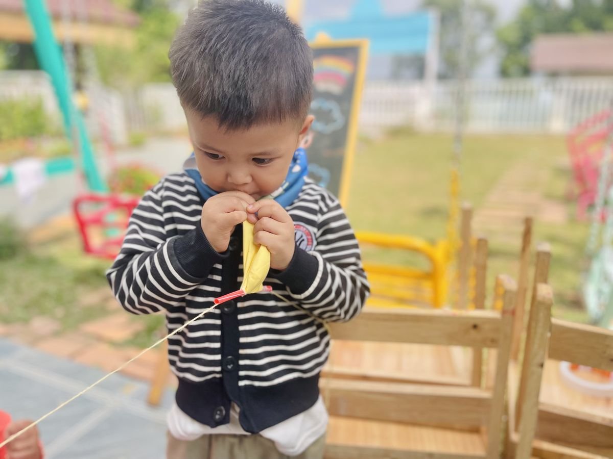 Ảnh hoạt động