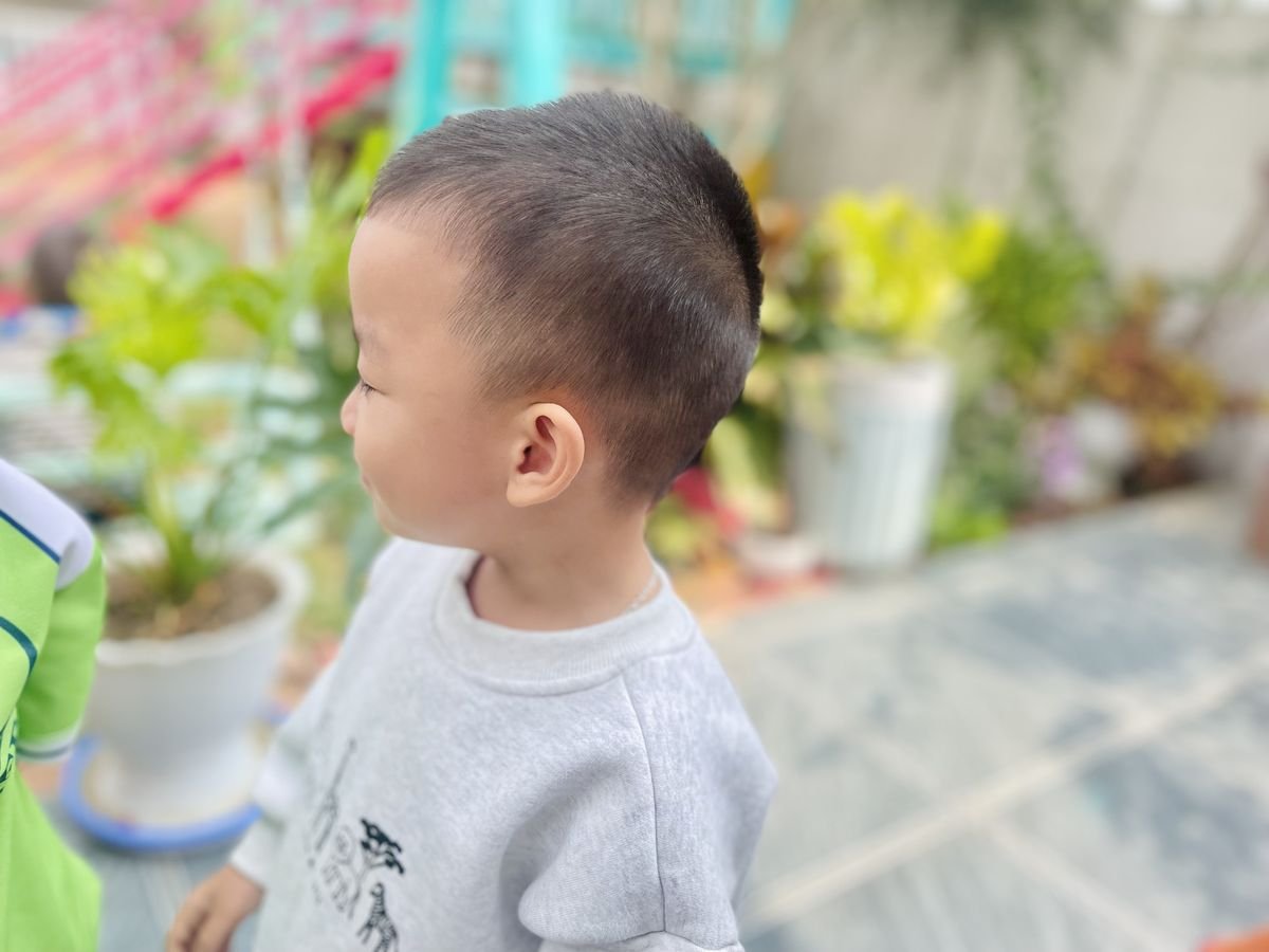 Ảnh hoạt động