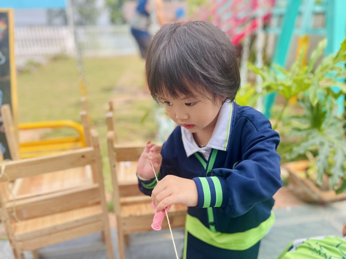 Ảnh hoạt động