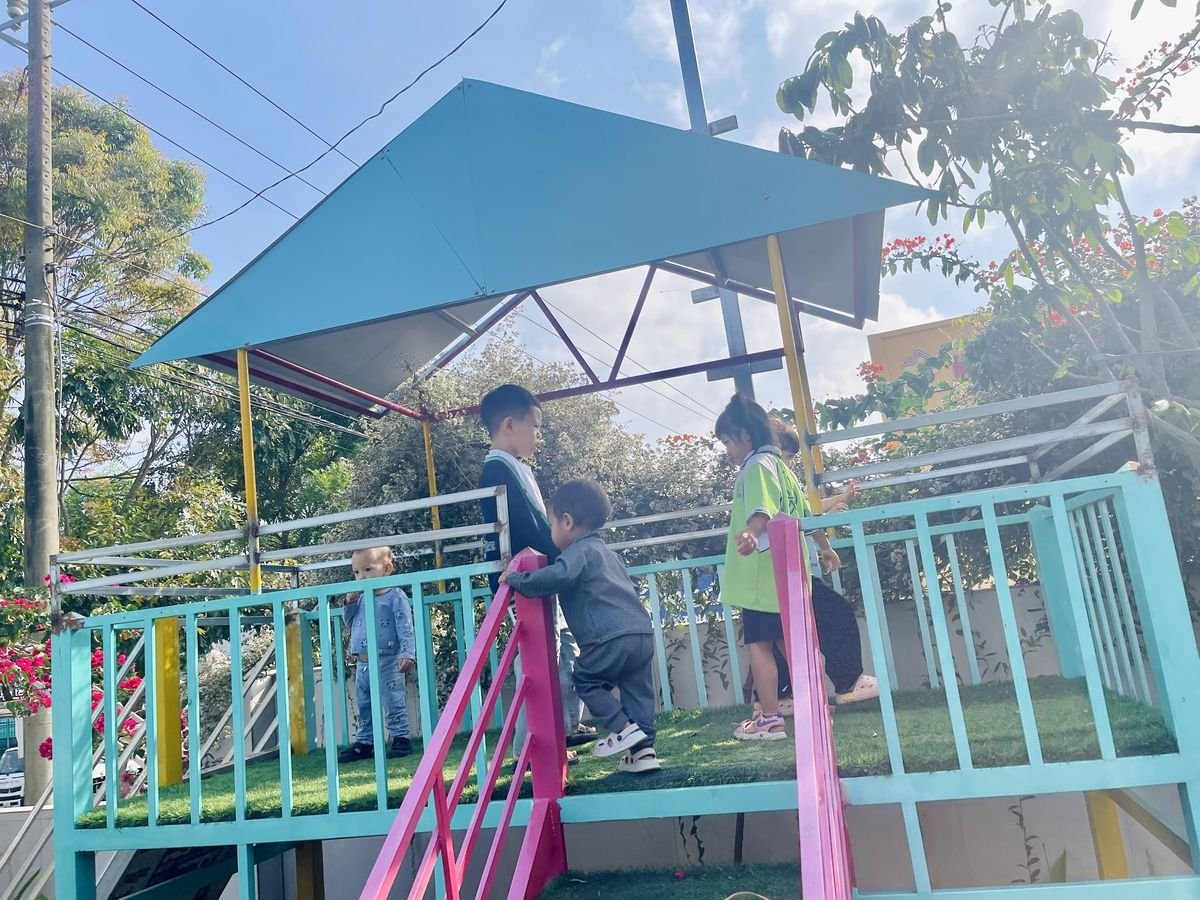 Ảnh hoạt động