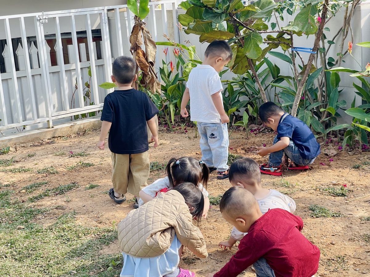 Ảnh hoạt động