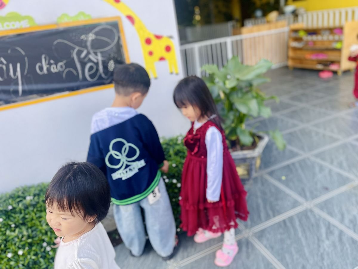 Ảnh hoạt động