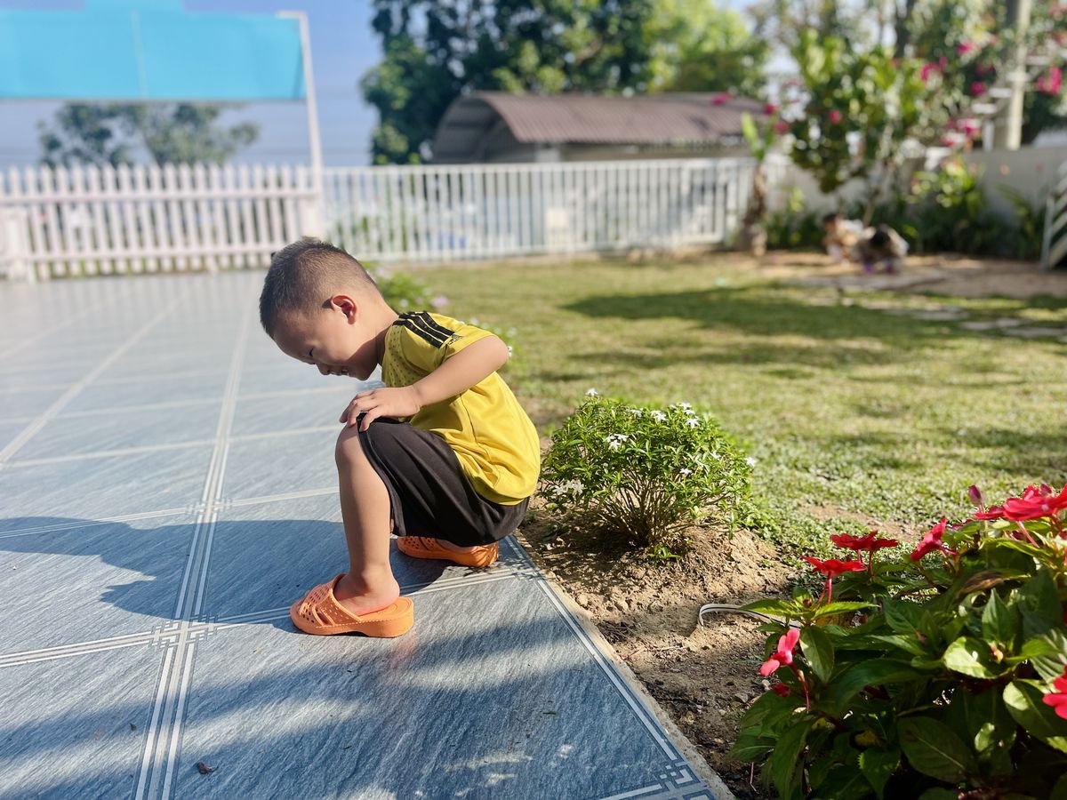 Ảnh hoạt động