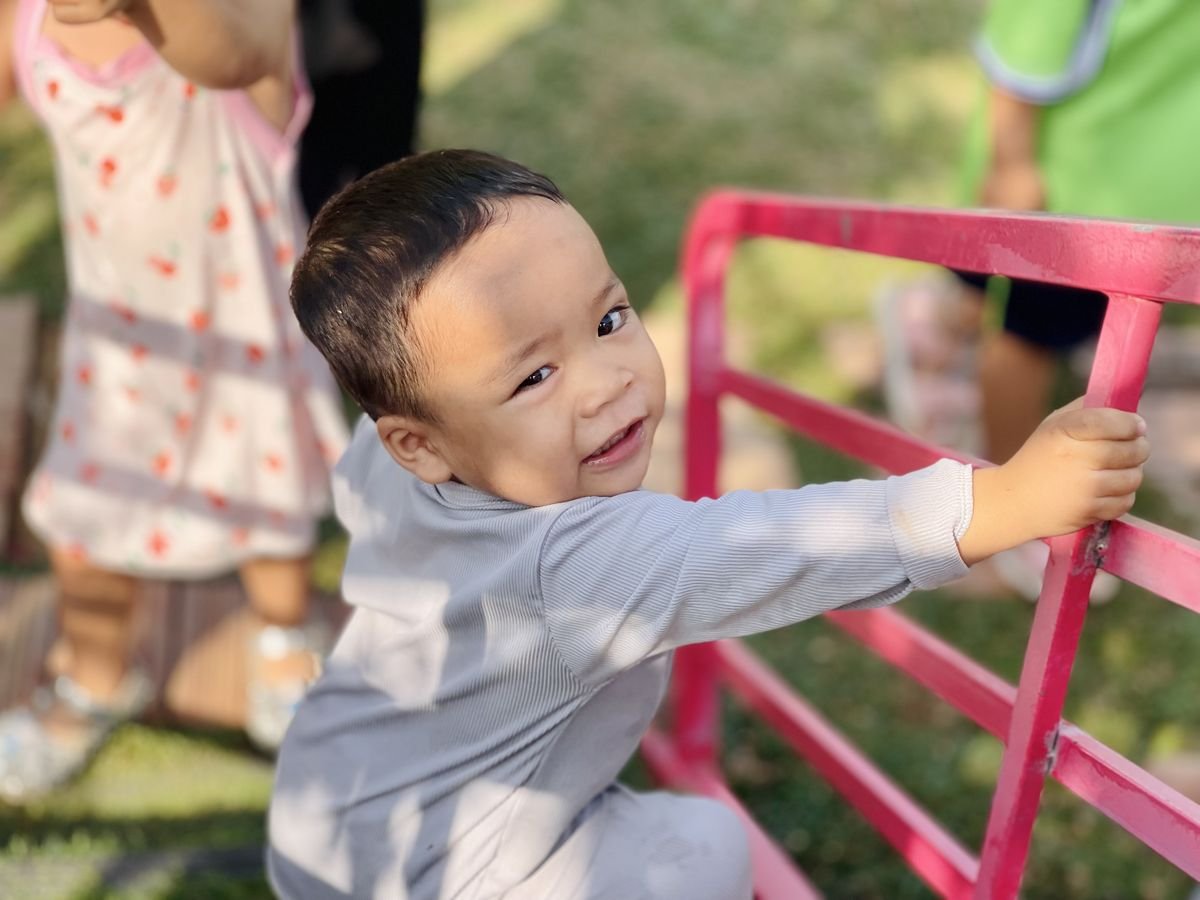 Ảnh hoạt động