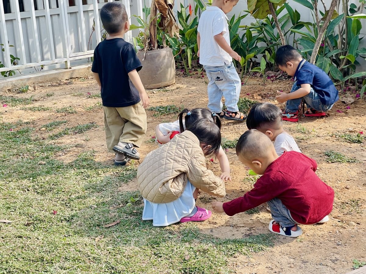 Ảnh hoạt động