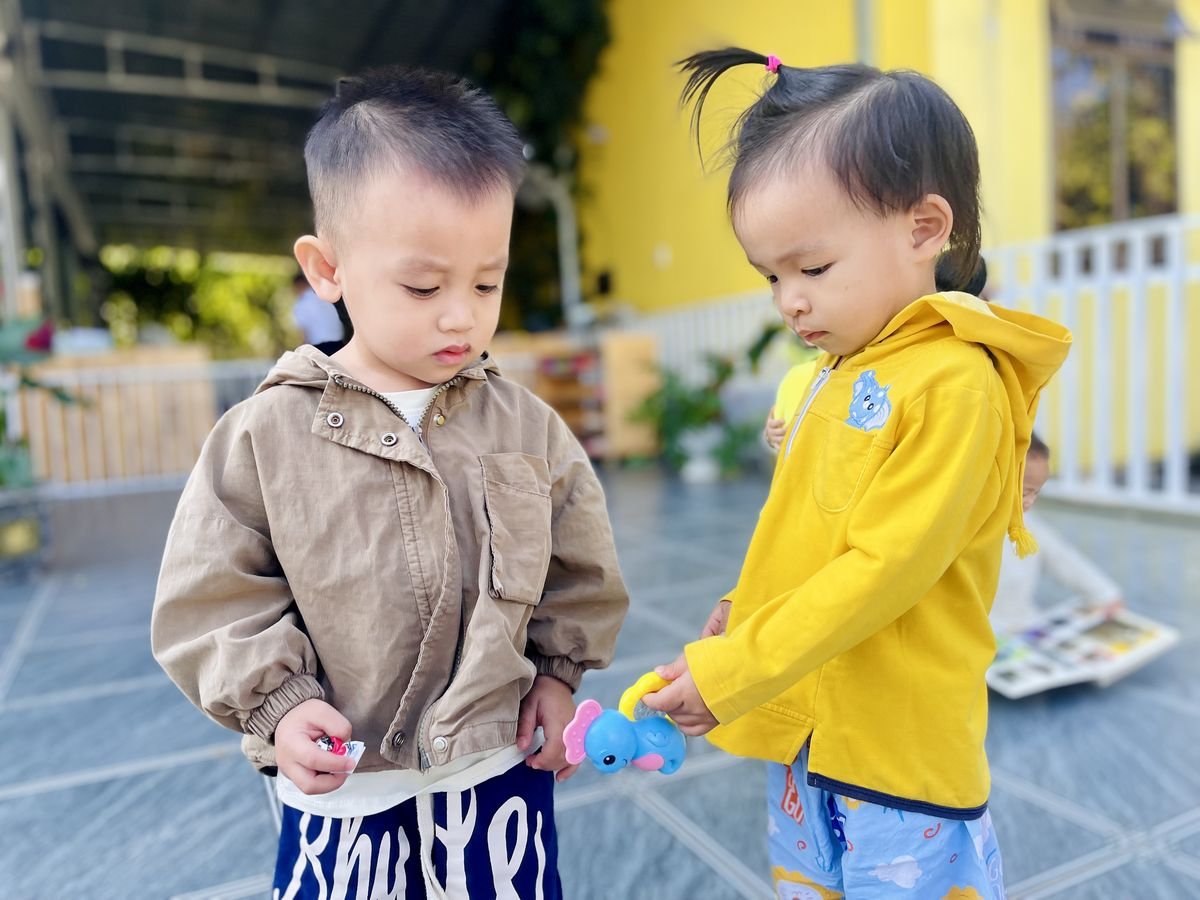 Ảnh hoạt động