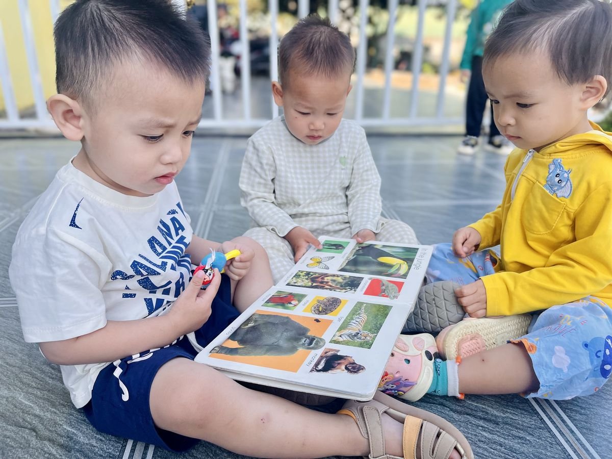 Ảnh hoạt động